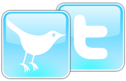 twitter-bird3